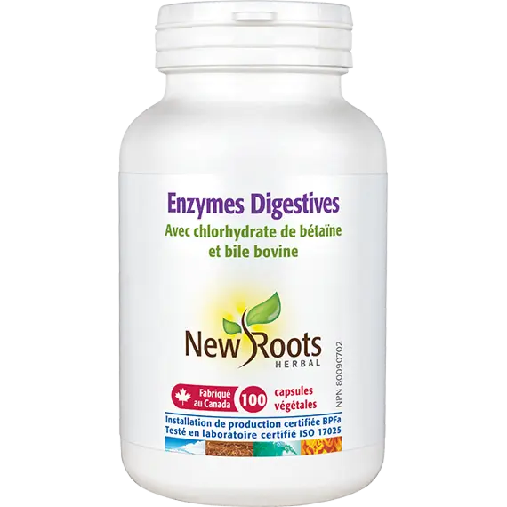 Enzymes Digestives